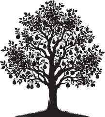 Obraz premium Pear Tree Silhouette Image, vector black color silhouette