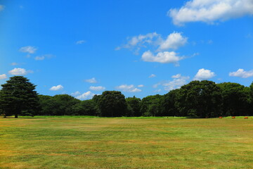 暑い夏の日の広場の風景2