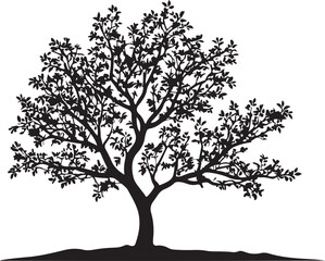 Obraz premium Willow Tree Silhouette Vector Art, vector black color silhouette