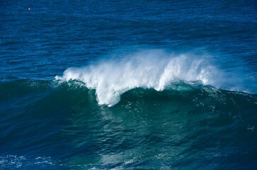 Fototapeta premium Sea surfing waves sunny coast Australia Coogee 