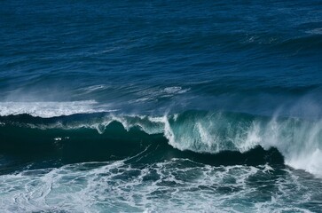 Sea surfing waves sunny coast Australia Coogee 