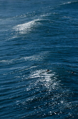 Sea surfing waves sunny coast Australia Coogee 