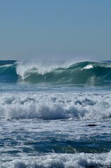 Sea surfing waves sunny coast Australia Coogee 