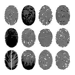 fingerprint set vector isolated