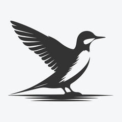 Graceful Murrelet Silhouette Against the Sunset