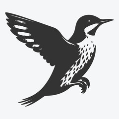 Graceful Murrelet Silhouette Against the Sunset