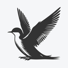 Graceful Murrelet Silhouette Against the Sunset