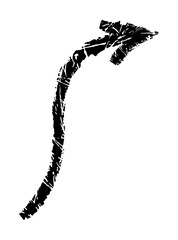 Dry brush mark, pencil squiggle and scribble. Hand drawn vector crayon various line, spiral and doodle. Black rough highlighter, chalk stroke, pencil divider. Curly line. Scratchy 