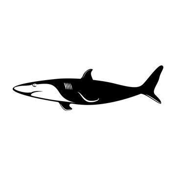 recommend clip art: Shilouette Surfing Icons Set