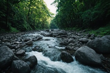 Obraz premium a river flowing through a lush green forest filled with lots of rocks and trees on either side of it,