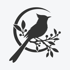 Graceful Bulbul Silhouette, Capturing the Elegance of Nature
