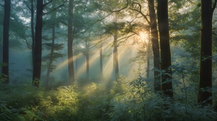 Obraz premium A Tranquil Forest Scene in Digital Art