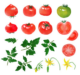 トマトのイラストセット