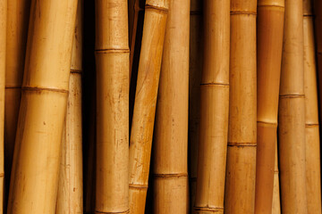 Close-up view of a group of bamboo stalks in a natural setting. The stalks are golden brown and arranged in a tight cluster, creating a textured and organic pattern.