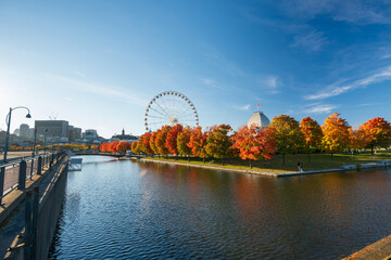 Old Port of Montreal in autumn. Red maples and old Montreal skyline reflected on St. Lawrence...