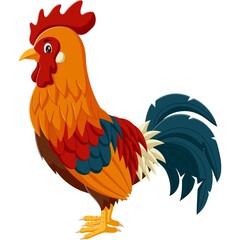 Colorful Rooster Cartoon Illustration