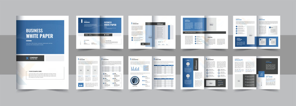 Business white paper design layout or booklet and business catalog design template vector layout