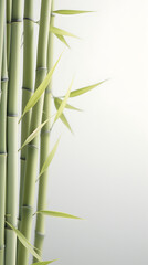 Digital soft and clear chrysanthemum plant abstract poster mobile phone background