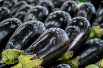 Fresh and ripe eggplant on a market stall. Organic vegetables. Eggplants, close-up.