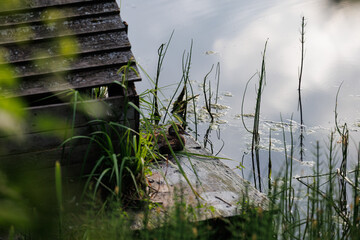 A wooden structure sits nestled along the edge of a tranquil pond, with green reeds and grasses flourishing in the foreground.