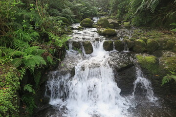 Levada Wanderung auf Madeira
