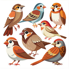 sparrow cartoon birds collection 