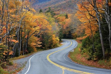 Fototapeta premium Winding road through a vibrant autumn forest with colorful foliage and picturesque scenery under a clear sky.