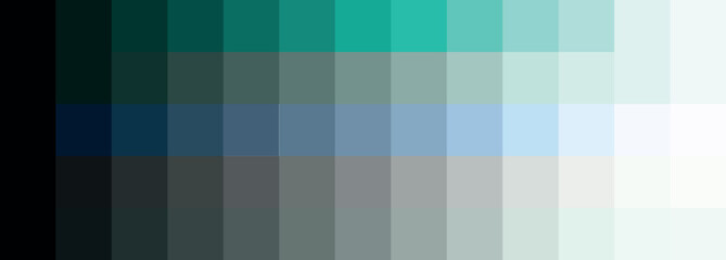 Obraz premium Monochromatic Color Palette Packs, Discover Sets of Vibrant Vector Color Palettes - Unique Colors Designs: Light to Dark, Dark to Light, Vintage, Retro, New, Trending