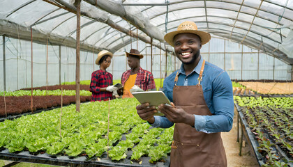 Beautiful African American organic vegetable garden owner with black skin.Standing smiling. Generative AI.