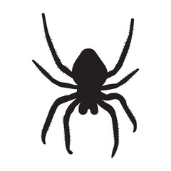 Spider Silhouette, Isolated On White Background. Vector Illustration
