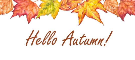 Hand drawn watercolor illustration with "Hello Autumn" lettering in a design of autumn leaves drawn in watercolor. Watercolor illustration dedicated to autumn.