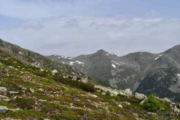 Landschaft mit Bergen im Ultental 