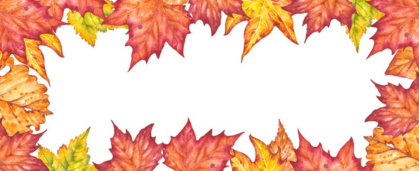 Fototapeta premium Hand drawn watercolor illustration. Frame of various autumn leaves painted in watercolor. Colorful illustration of autumn leaves for birthday, wedding, thanksgiving, holidays. Any creative designs.