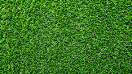 Obraz premium A close-up view of thick, lush green grass