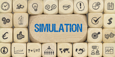 Simulation