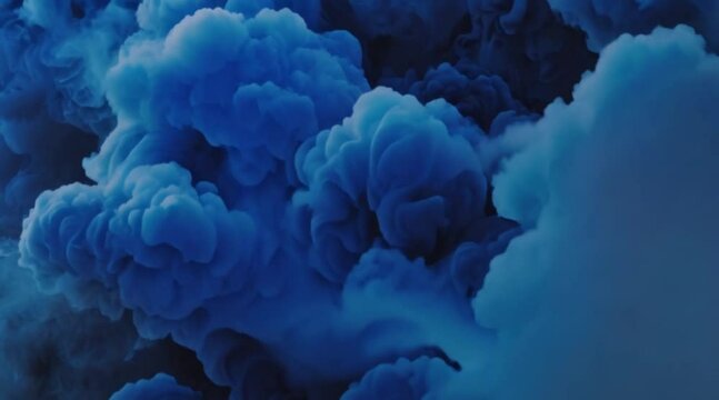 An exclusive HD view of blue sea anemone