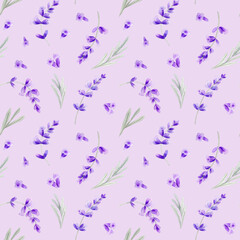 Watercolor lavender hand painted illustration, herbal botanical seamless pattern
