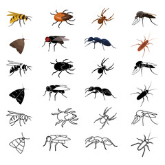 Insect icon. Insect icon set. Flat, silhouette and linear style.