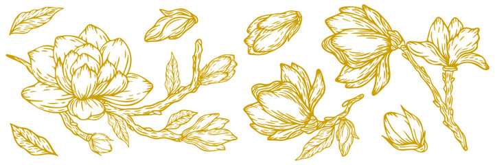 Magnolia, set of flowers and leaves, vector illustration, hand drawn in gold color. Vector magnolia for background, texture, wrapper pattern, frame or border © Tetiana Komarytska