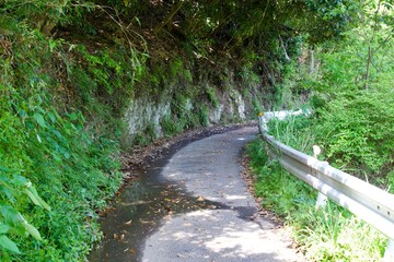 A narrow road in the mountains of Chiba where puddles remain