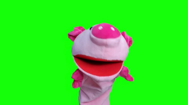 3D Puppet Pig Talking and Dancing Green Screen Animation