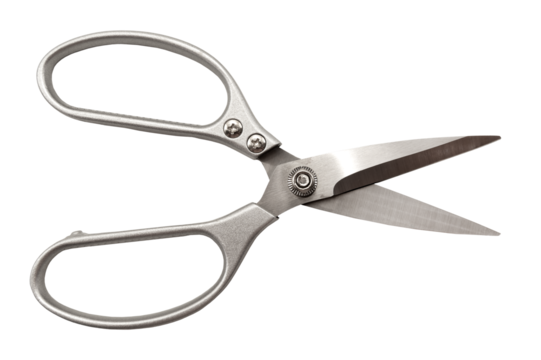 Stationery scissors on a white background for office work. Tailor's or seamstress's scissors