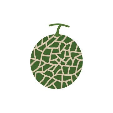 Melon vector. melon on white background. wallpaper. logo design.