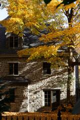 Montreal architecture with stylish houses. Montreal Quebec autumn paysages with beautiful buildings. Canadian landmarks. Plateau district.  