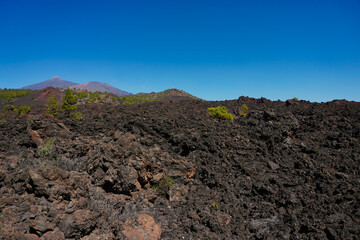 
Tenerife Island. Spain. Tormented and chaotic lavas resulting from some of the island's last...