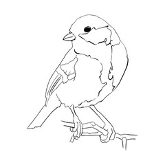 A bird is sitting on a branch