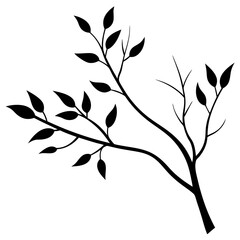 Obraz premium Silhouette of a Branch with Leaves