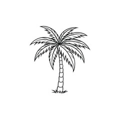 palm tree silhouette