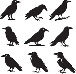 Crow Birds Vector silhouette illustration set logo art