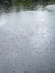 rain falling on water’s surface